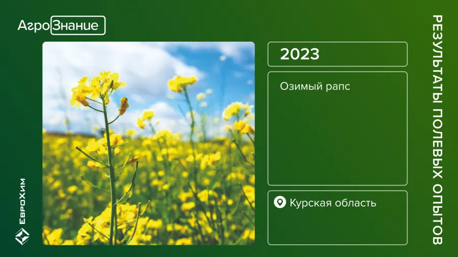 Результаты полевых опытов, озимый рапс, Курск