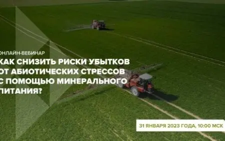 31 января пройдет наш первый вебинар в этом году