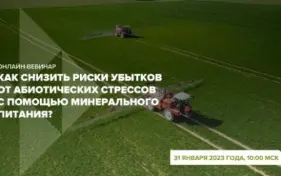 31 января пройдет наш первый вебинар в этом году