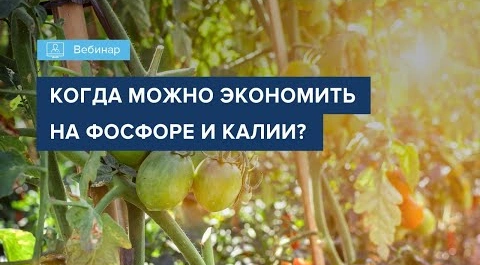 Вебинар 2022 когда можно экономить на фосфоре и калии