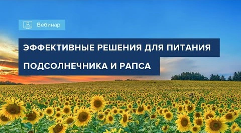 Вебинар 