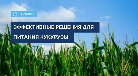 Вебинар 2022 особенности минерального питания кукурузы