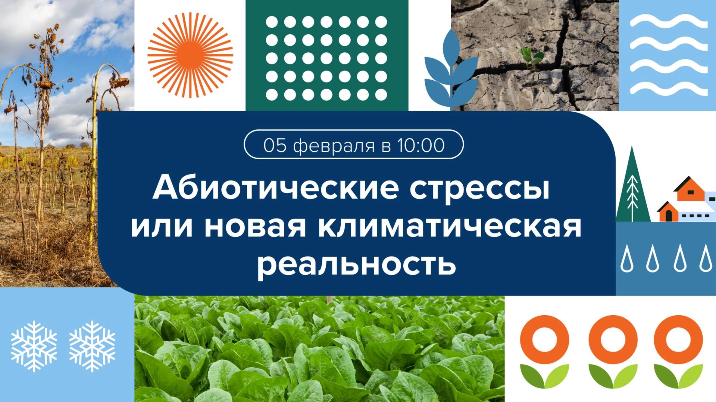 Вебинар 