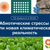 Вебинар 