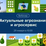 Вебинар 
