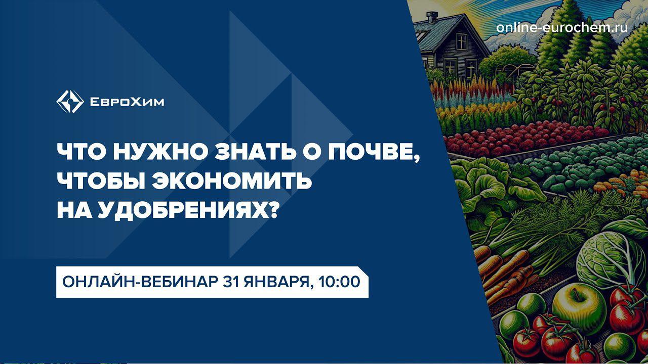Вебинар 