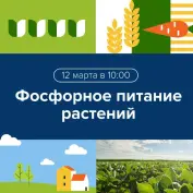 Вебинар 