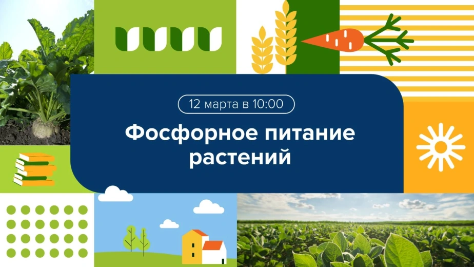 Вебинар 