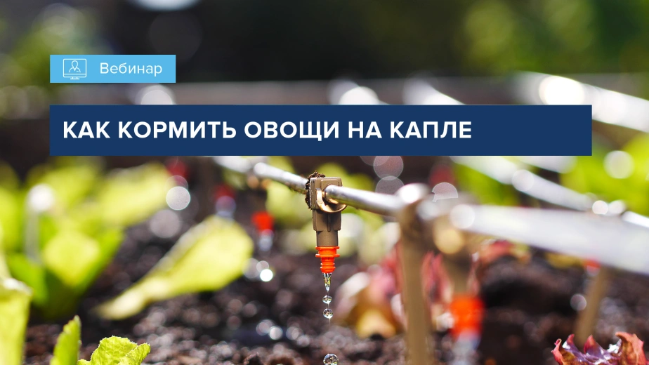 Вебинар 