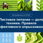 Вебинар 
