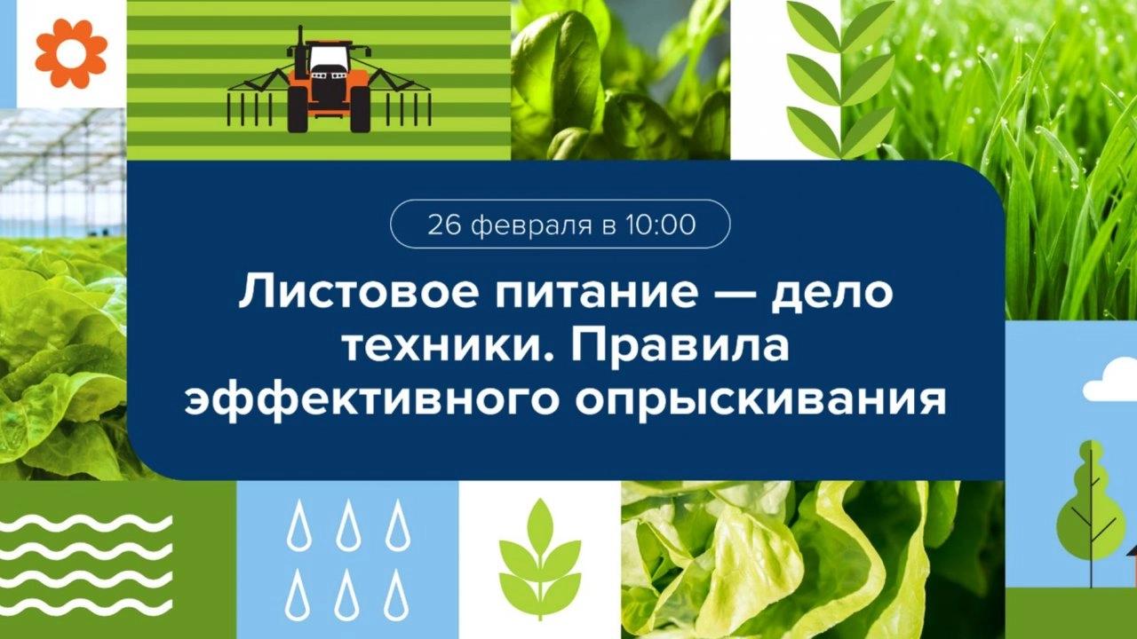 Вебинар 