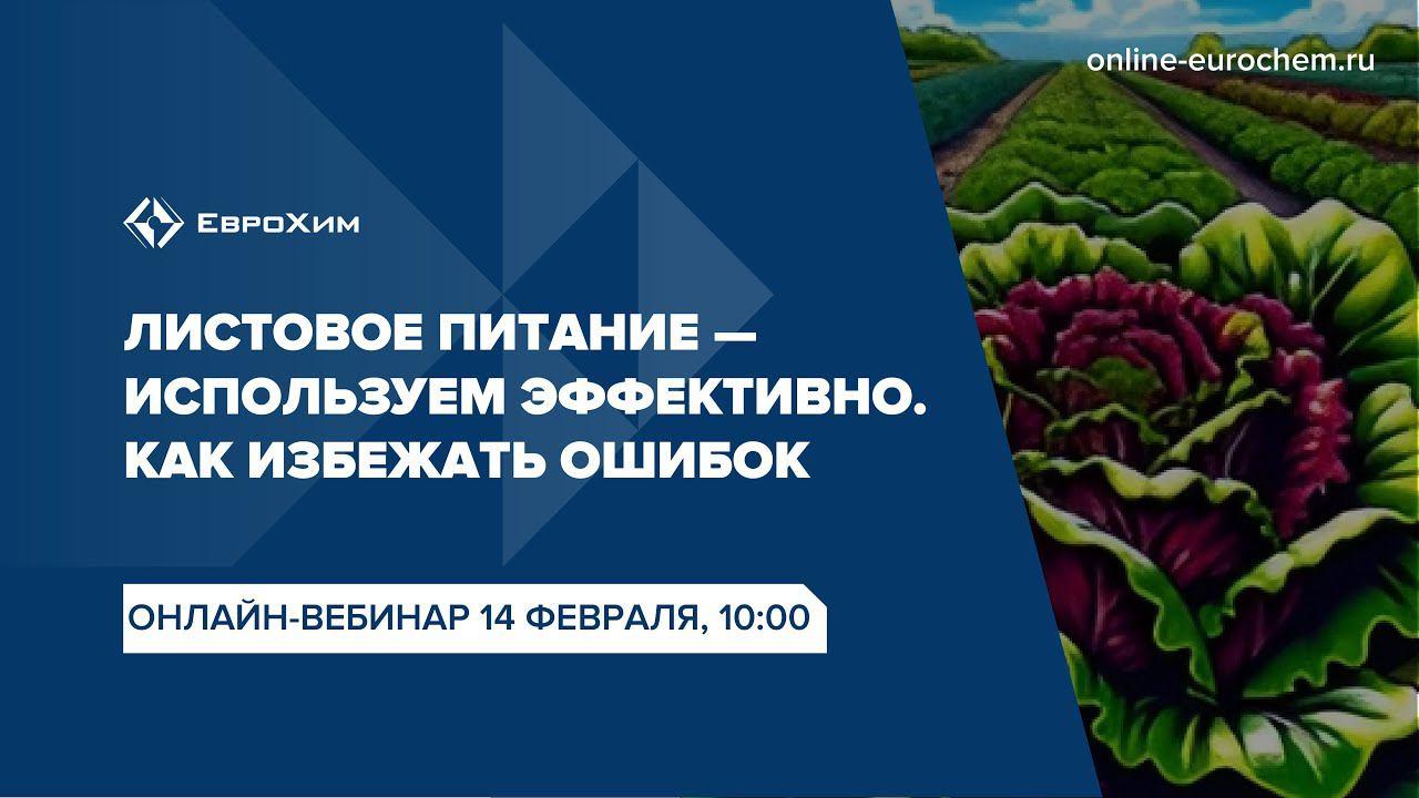 Вебинар 