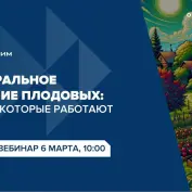 Вебинар 