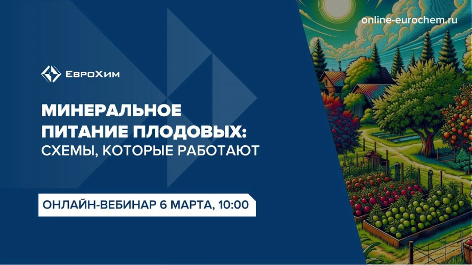 Вебинар 