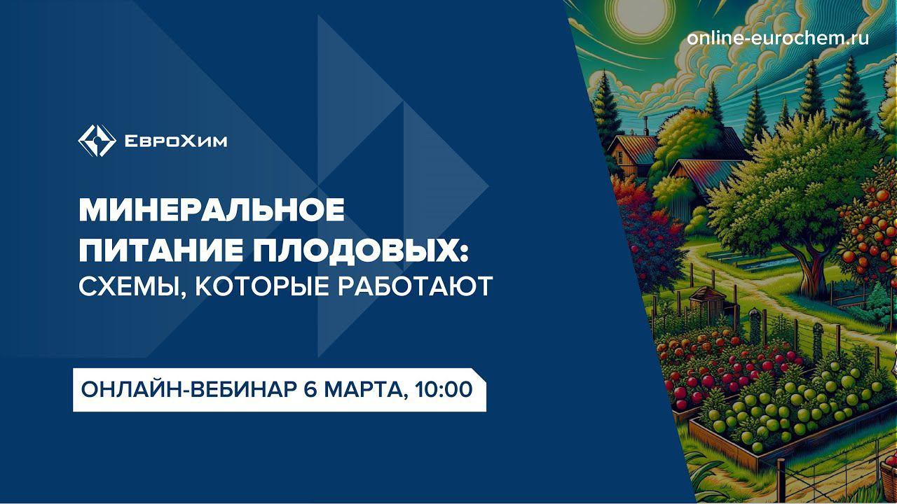 Вебинар 