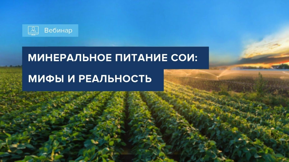 Вебинар 