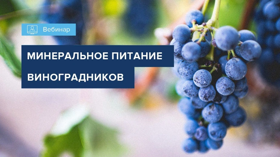 Вебинар 