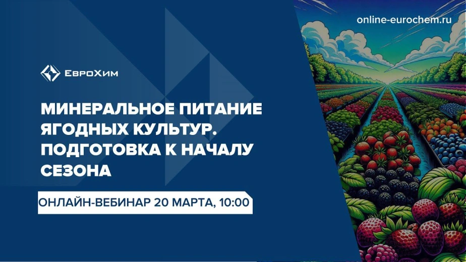 Вебинар 