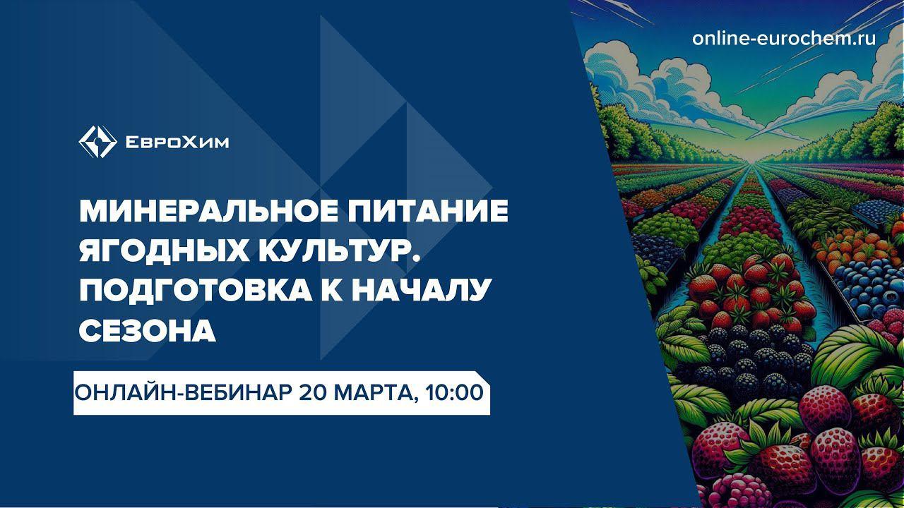 Вебинар 