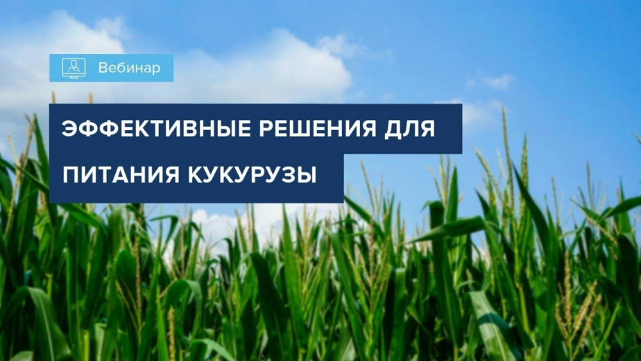 Вебинар 