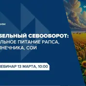 Вебинар 