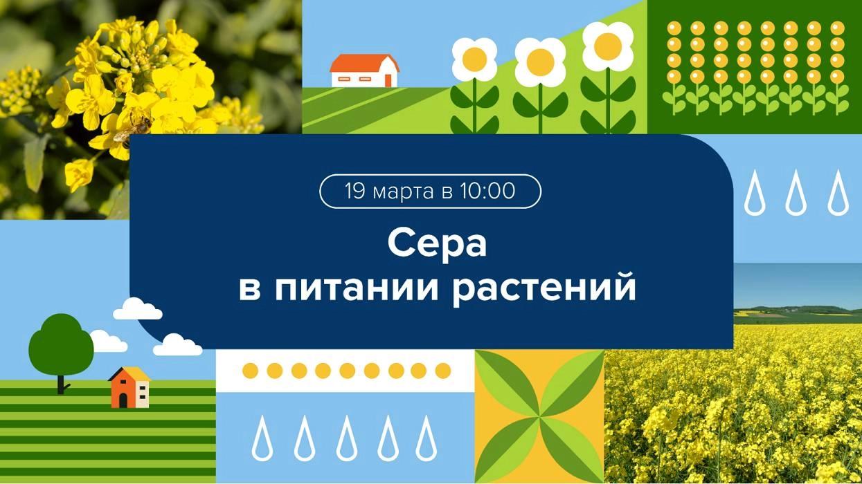 Вебинар 