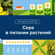 Вебинар 
