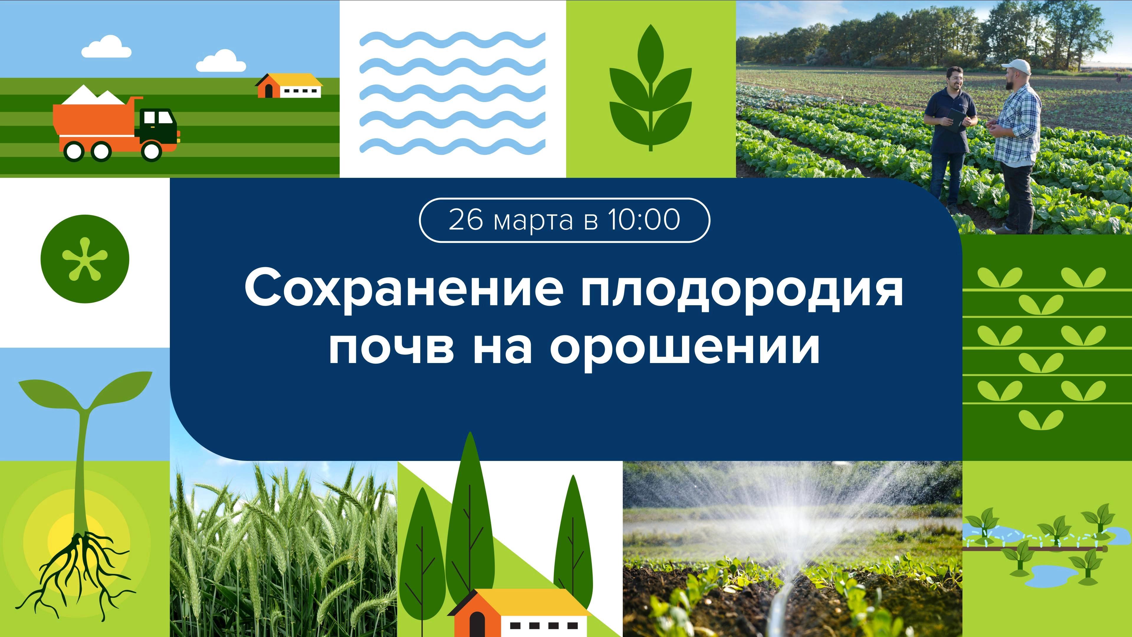 Вебинар 