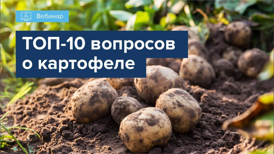 Вебинар 