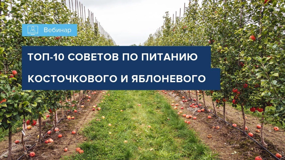 Вебинар 