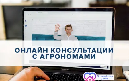 Старт рубрики бесплатных онлайн-консультаций «Задай вопрос агроному»