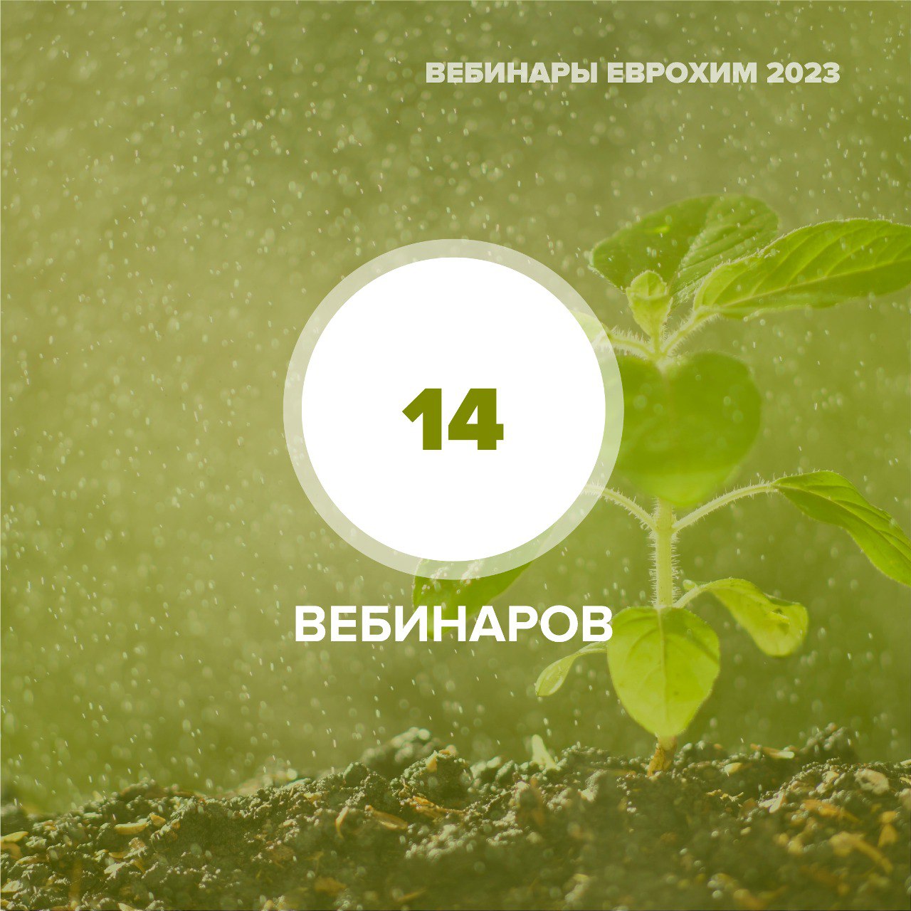 вебинары 2023