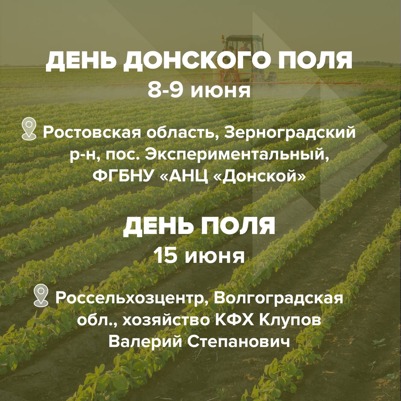 ростов волгоград