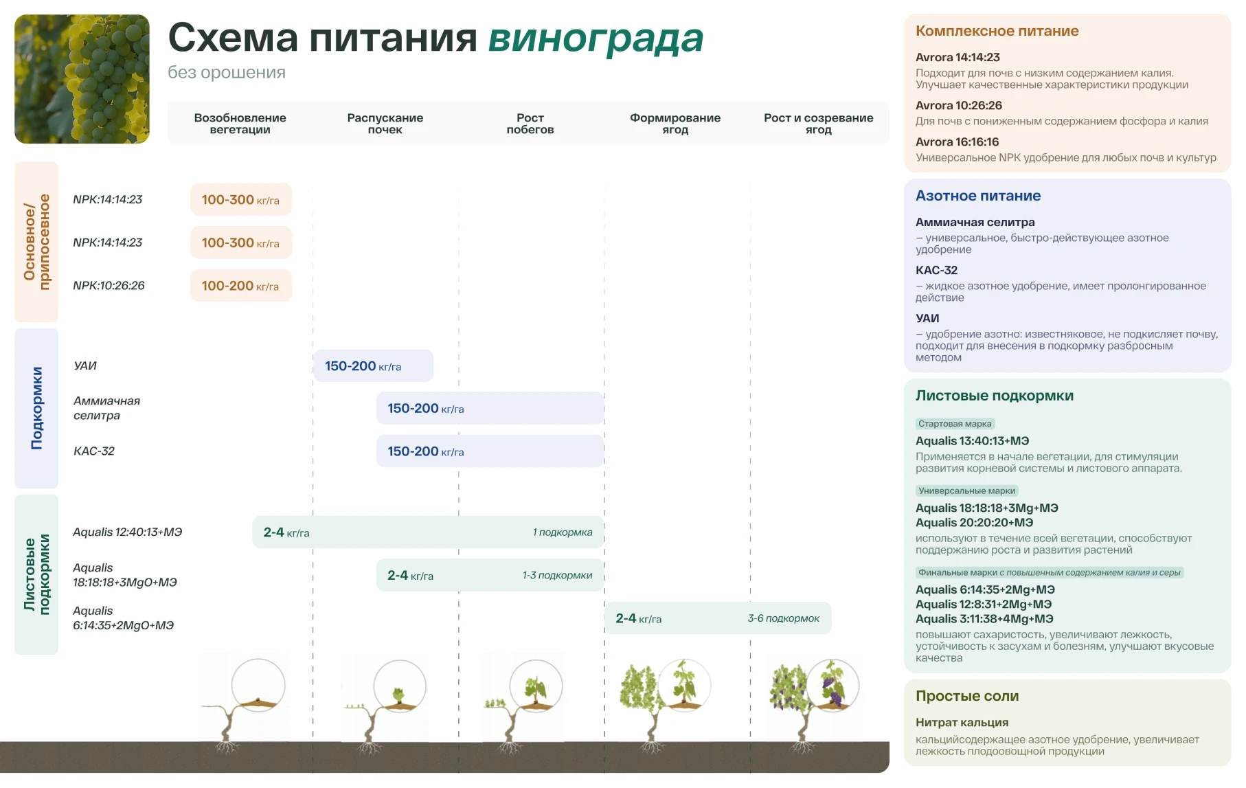 Пастбищные культуры