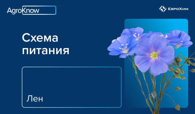 Лен